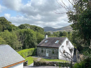 Bryn Rhedyn cottage